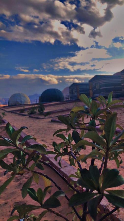 ホテル Oryx Camp ワディ ・ラム エクステリア 写真